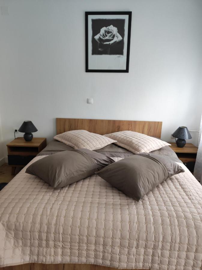 Studio Apartman Rose Apartment Plitvicka Jezera Exterior photo